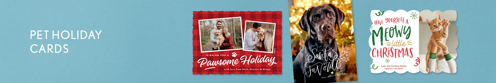 Pet Christmas Cards for your best friend, dog or cat!